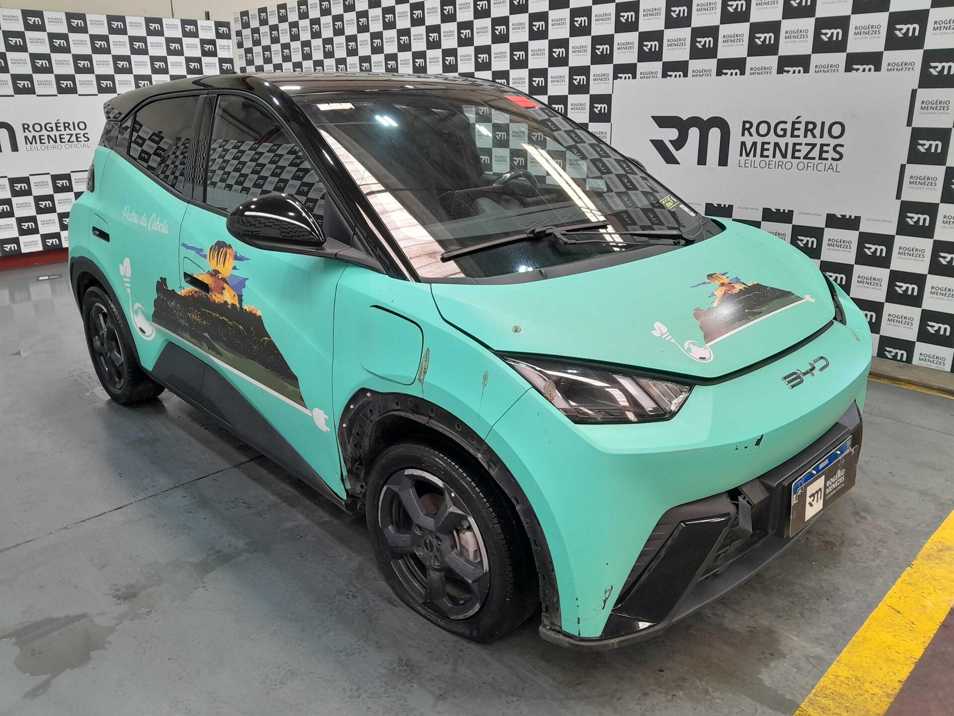 BYD DOLPHIN 2025 